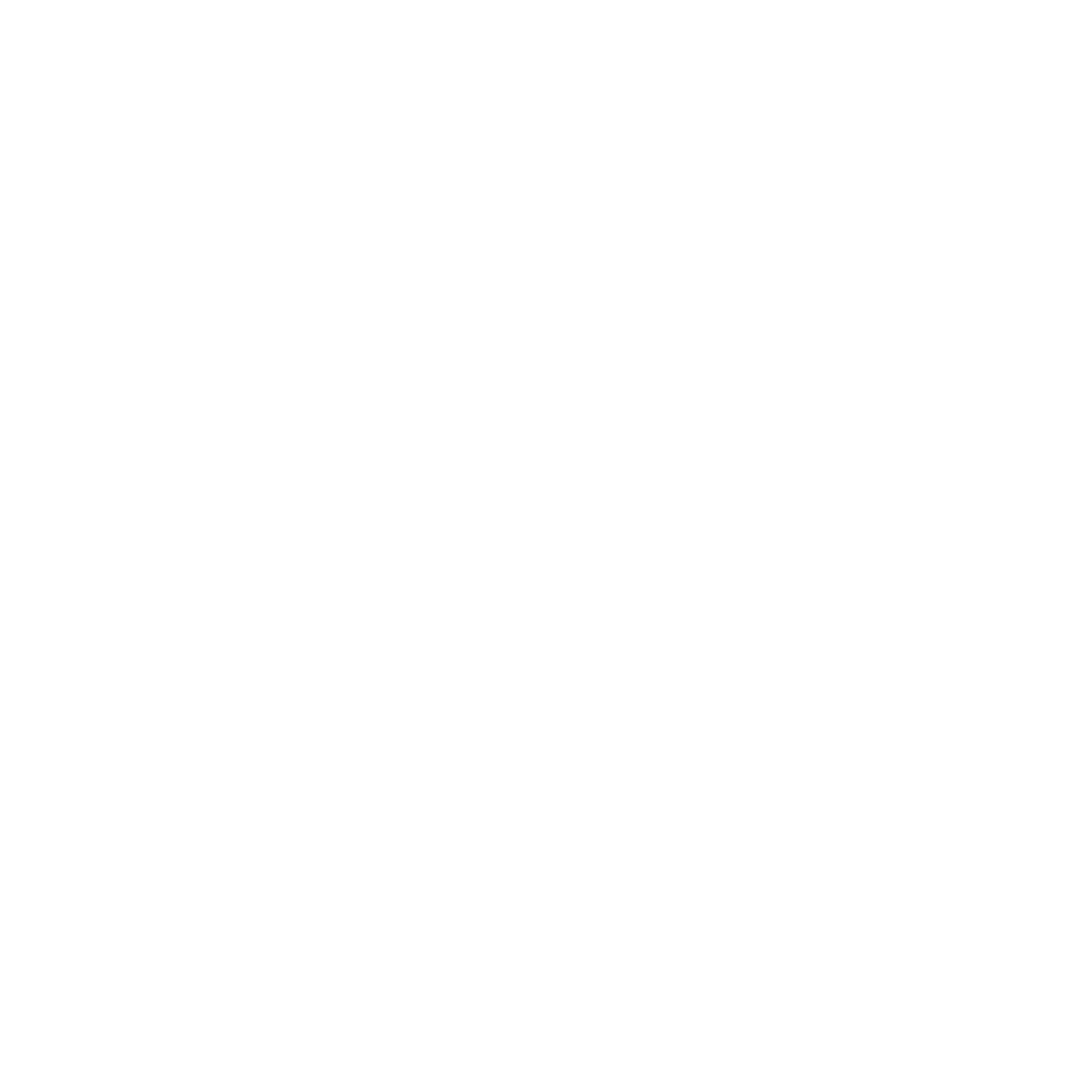 Publicis Sapient