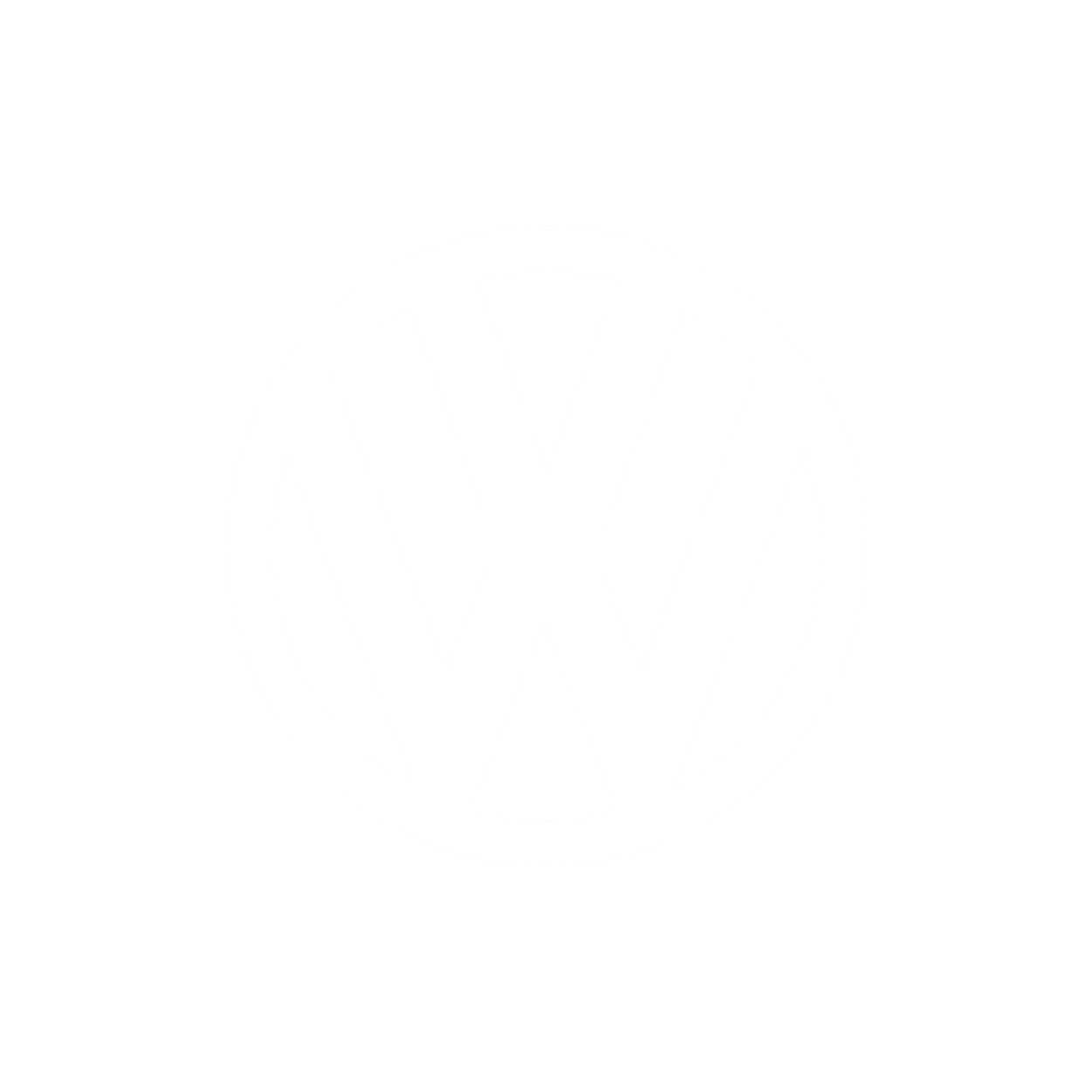 Volkswagon